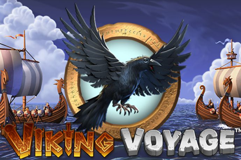 Viking Voyage